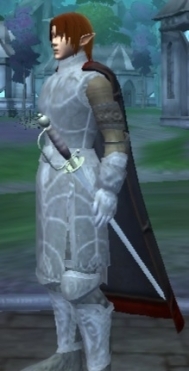 Ornate Epee of Warden on High Elf