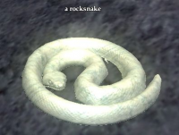 a rocksnake