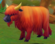 Shaggy Cow 